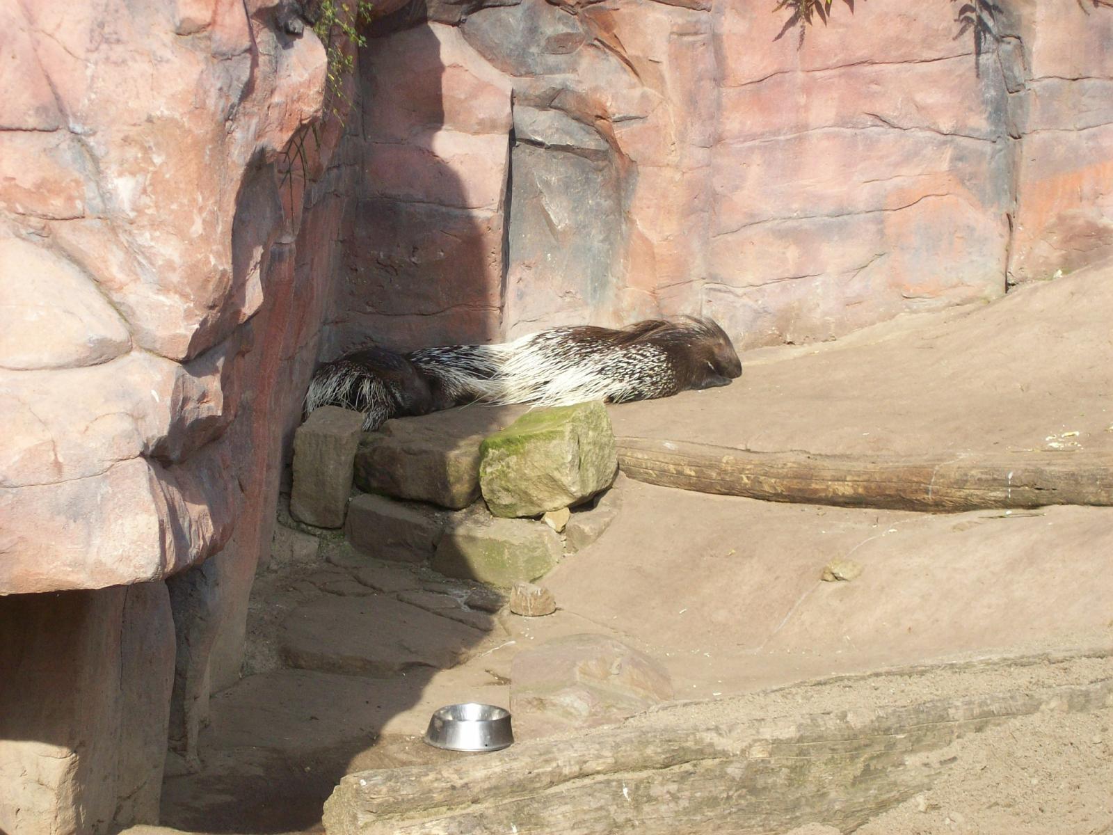 Zoom 18.10.2008-080.jpg